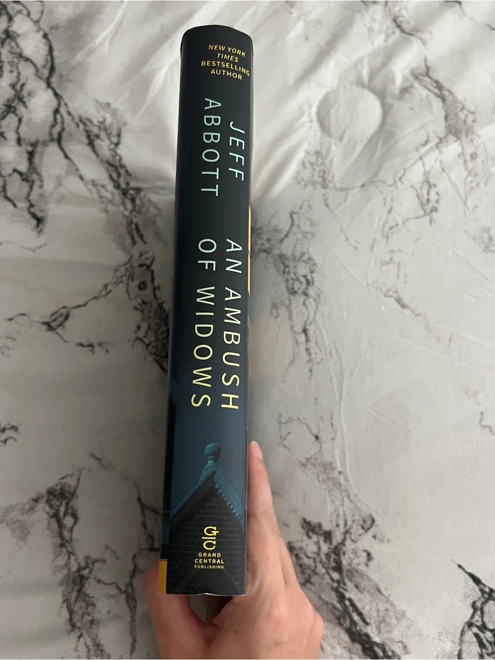 Grand Central | An Ambush of Widows Book